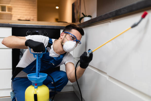 Best Flea Control Services  in Cape Canaveral, FL