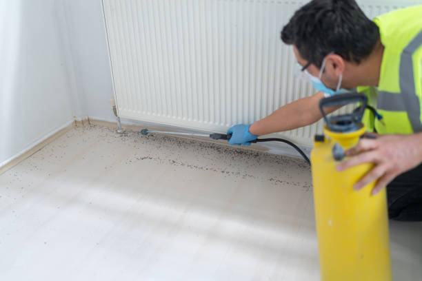 Best Bed Bug Extermination  in Cape Canaveral, FL