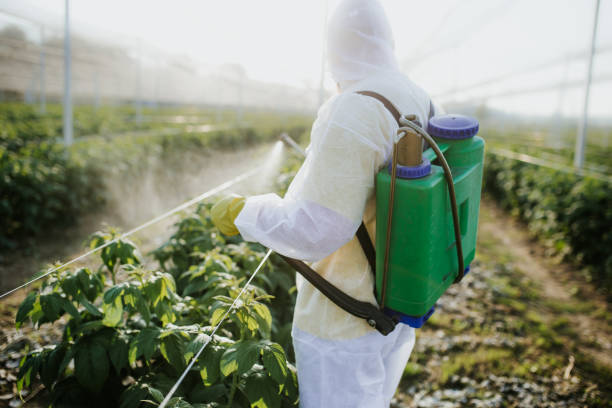Best Exterminator Services  in Cape Canaveral, FL